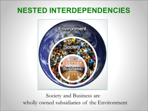 nested interdependencies sustainability